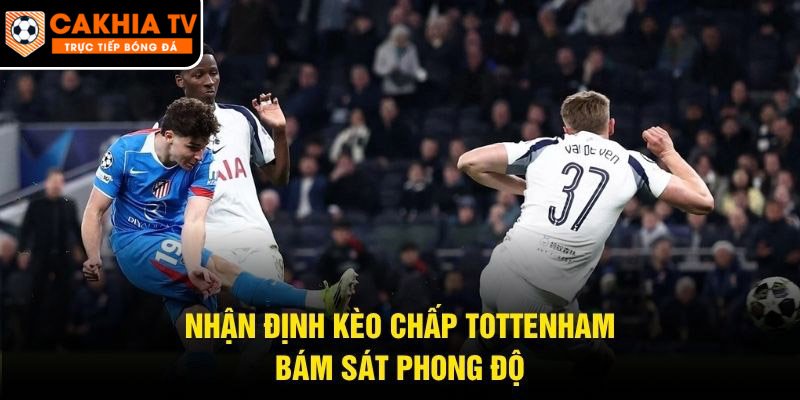 Nhận định kèo chấp Tottenham bám sát phong độ
