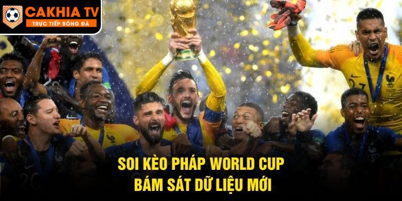 Soi kèo Pháp World Cup bám sát dữ liệu mới